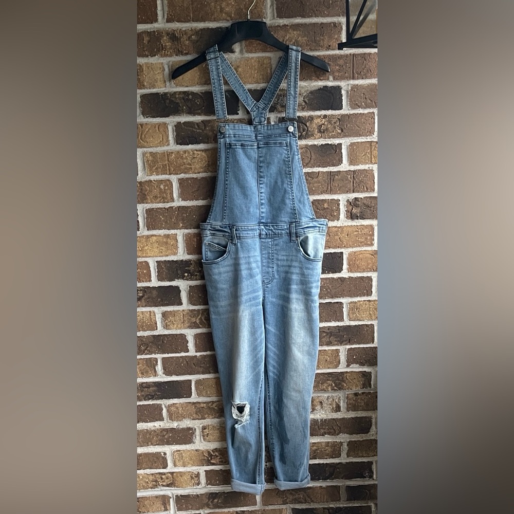 Celebrity Pink Blue Denim Overalls - Picture 3 of 9